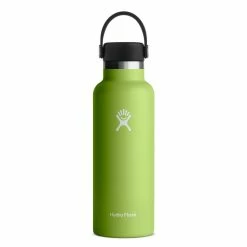 Hydro Flask Bouteille Standard Mouth Avec Bouchon Flex - 532 Ml - Seagrass